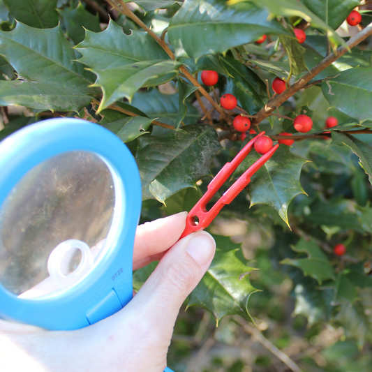 Mega-10 Magnifying Glass