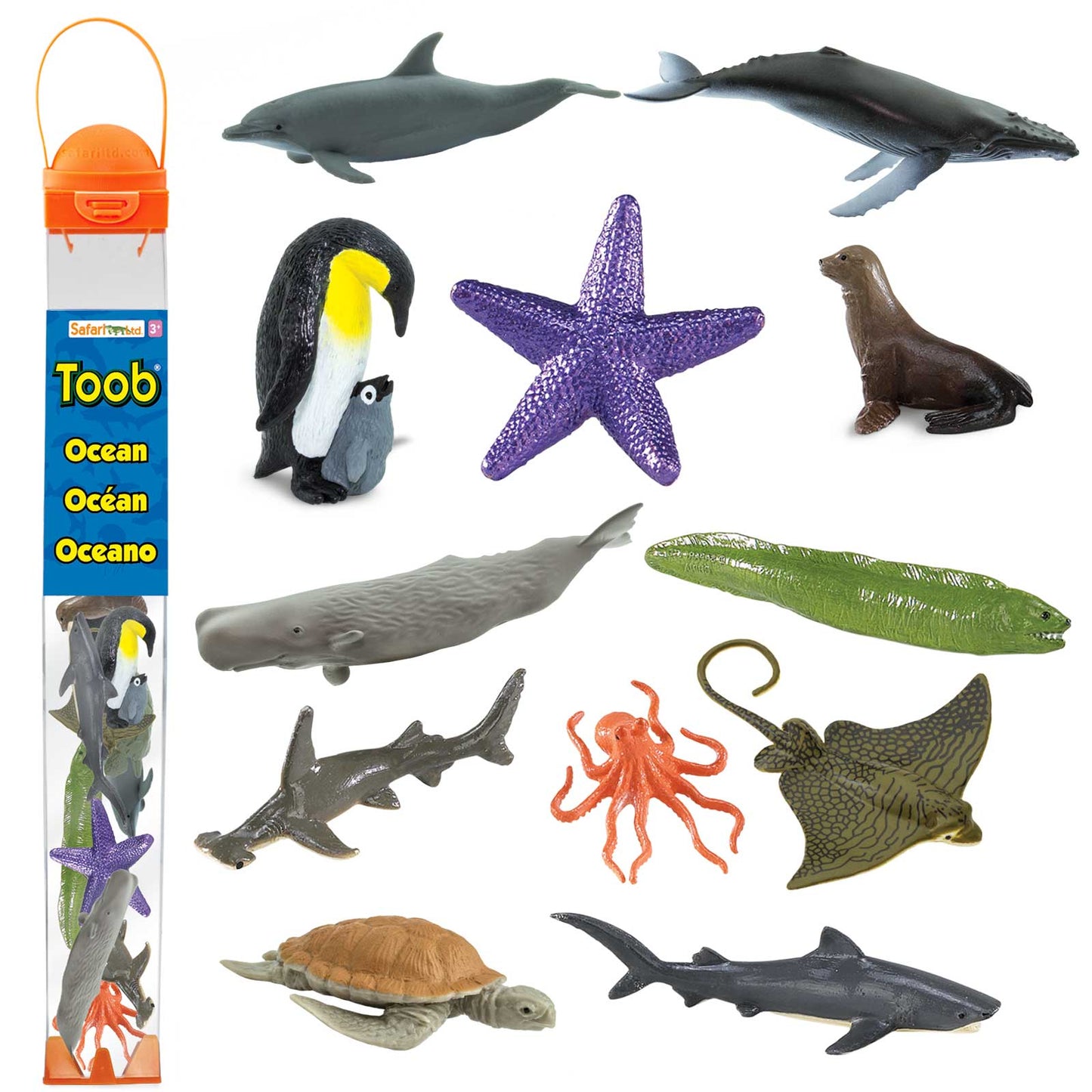 Ocean TOOB®