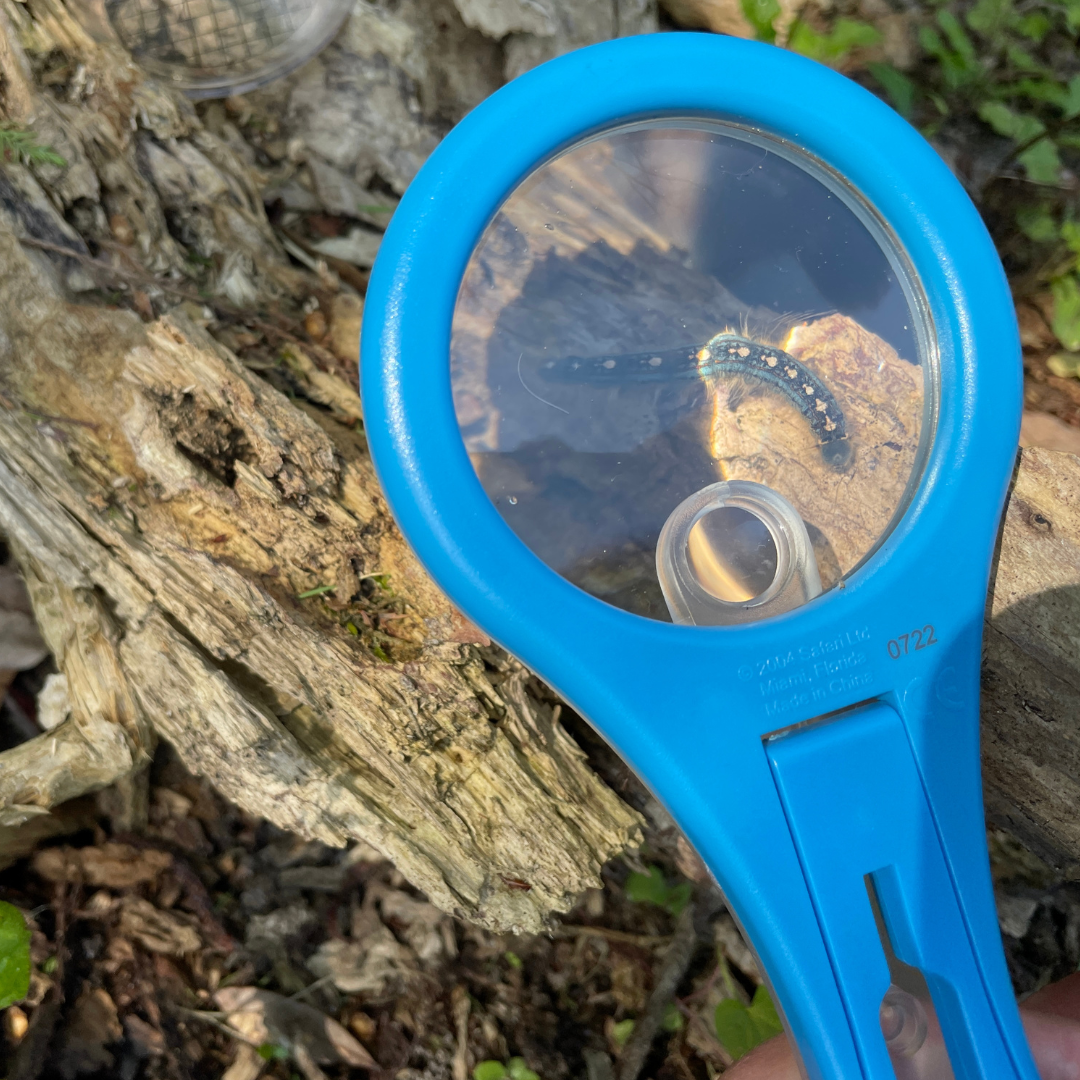 Mega-10 Magnifying Glass