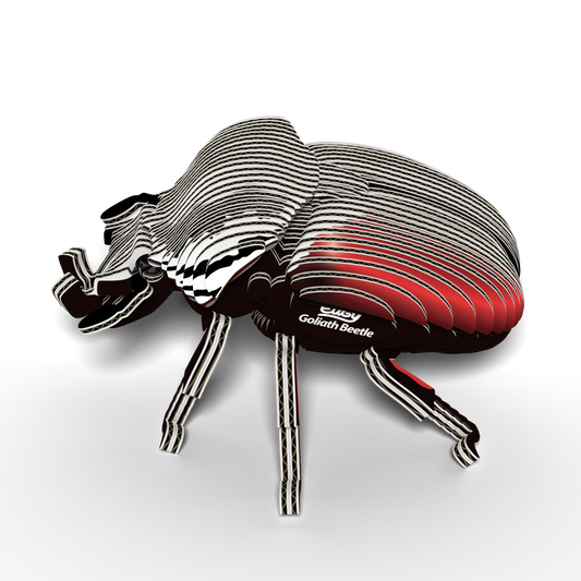 EUGY Goliath Beetle 3D Puzzle